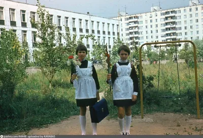 Школа и детский сад в ЖК «Москвичка» переданы городу - Новости Пресс-центра  | Инвестиционный портал Москвы\"