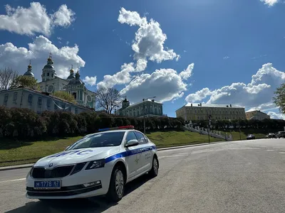 В центре Смоленска образовалась очередная свалка | Быстрые новости Смоленска  «SmolDaily»