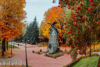 В центре Смоленска установили новые цветочные вазоны - KP.RU