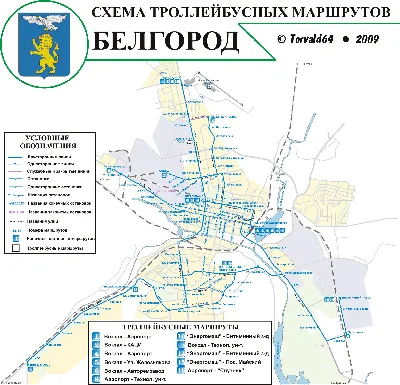 Белгородцы заметили в небе «поезд» Илона Маска — Новости Белгорода и  области - Бел.ру