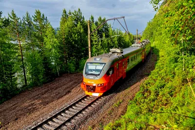 Чем Красноярск отличается от Новосибирска, а его город-спутник Сосновоборск  — от Бердска? | Свидетель