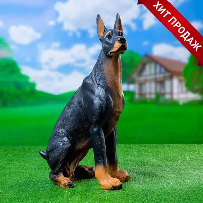 https://lipetsk.leroymerlin.ru/product/sadovaya-figura-horoshie-suveniry-sobaka-doberman-bolshoy-stoit-90257488/