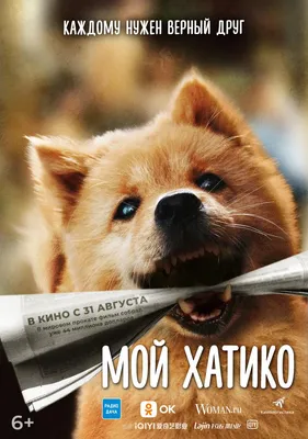 Хатико Самый верный друг / Hachiko: A Dog's Story (2009, фильм) - «Фильм,  который заставил меня реветь.. Хатико:(» | отзывы