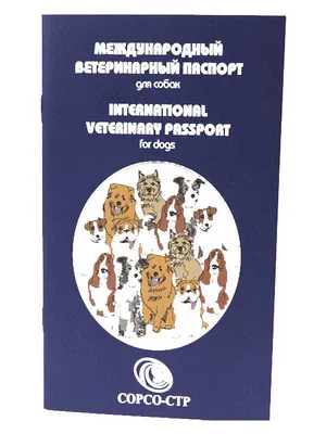 Породистые собаки в дар. Часть 32 | Породистые собаки в дар 🐶 | Дзен