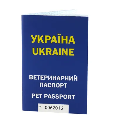 Перевозка собак в самолете в 2024 году: как правильно перевезти и что для  этого необходимо