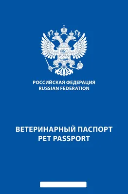 Правила ввоза животных в Евросоюз: документы и требования для перевозки  собак и кошек в Европу в 2023 году