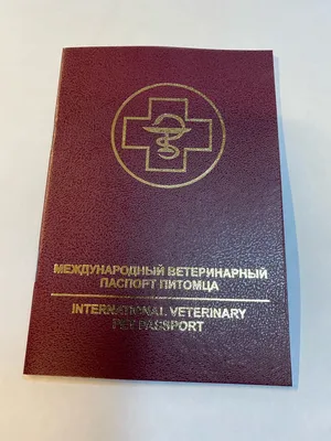 Ветеринарный паспорт Украина для собак и кошек купить в Киеве по цене 19 ₴  в Украине – Zootovary.com