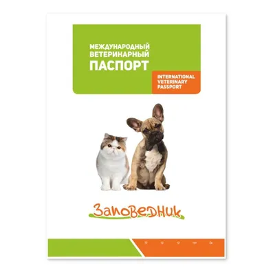 Международный паспорт для собак: как сделать и заполнить