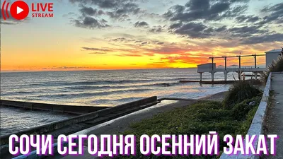 Пляжный отдых в Сочи | РИА Новости Медиабанк