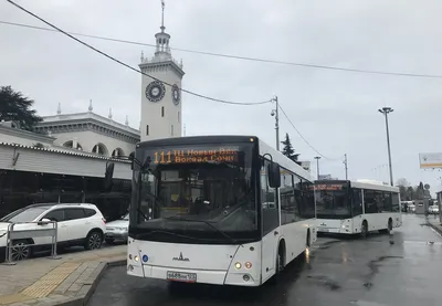 Что посмотреть и чем заняться в Адлере зимой - погода,  достопримечательности, развлечения