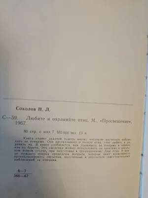 Уфимские орнитологи показали новорожденных птенцов соколов-сапсанов