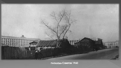 Барнаул 1960-1970-х годов прошлого века | Научная библиотека АлтГУ | Дзен