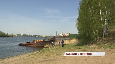 Официальный сайт Муниципального архива города Ярославля