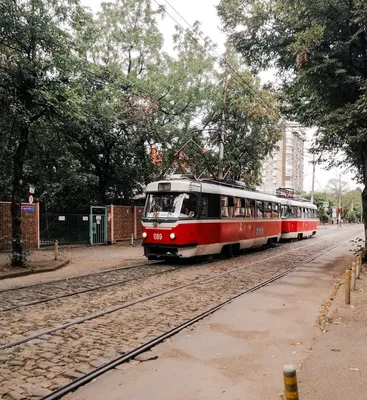 В центре Краснодара начали сносить старый квартал около администрации |  19.02.2019 | Краснодар - БезФормата