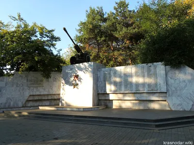 В канун Старого Нового года в Краснодаре будет морозно и ясно - Лента  новостей Краснодара