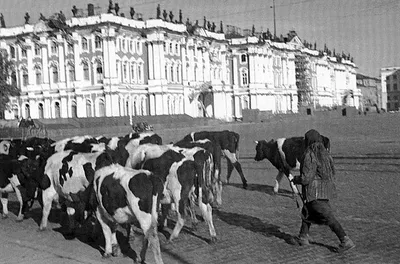 Старый Санкт-Петербург в цвете, 1900 год (23 фото - Санкт-Петербург,  Россия) - ФотоТерра