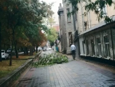 Ветка старого дерева рухнула на пешеходный тротуар из-за порыва ветра в  центре Ставрополя