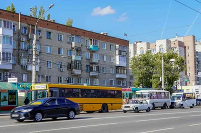 Новый автобусный маршрут пустят в Воронеже из старого центра в Северный  микрорайон | Горком36 новости Воронеж