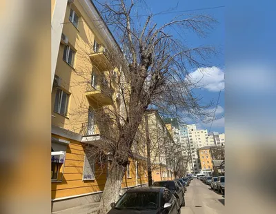 На улице в центре Воронежа перекроют движение — Интернет-канал «TV Губерния»