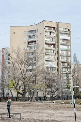 Жители Воронежа устроили спор из-за старого фото улицы Кирова