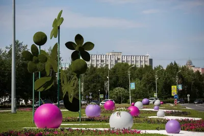 Летом улицы Сургута украсят больше 400 тысяч цветов - KP.RU