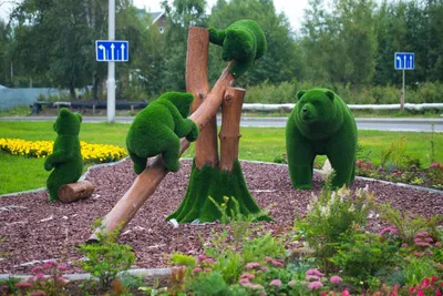 400 тысяч цветов и новая скульптура «Семья медведей» украсили Сургут этим  летом - 12 августа 2023 - 86.ру
