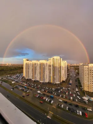 Летом в Сургуте появятся новые этнокультурные арт-объекты - Региональный  информационный центр