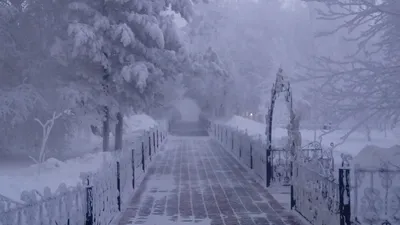 Фото Сургута зимой фото