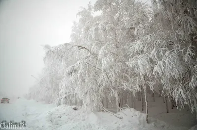 Фото Сургута зимой фотографии