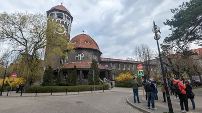 Светлогорск, Калининградская область, Раушен (Rauschen), фотографии