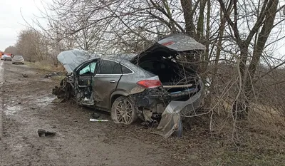 Школьник из Таганрога станет участником съезда в Москве