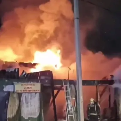 Огнеборцы Анжеро-Судженска спасли людей на пожаре в многоквартирном доме -  Лента новостей Кемерово