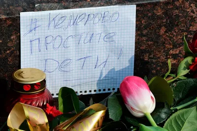Что сказали родственники погибших в «Зимней вишне» во время суда - 18 мая  2021 - ngs42.ru