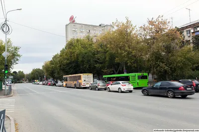 Попал в самый лучший город Земли!»: эпатажный Шура дал в Тюмени частный  концерт - KP.RU