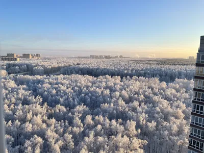 Тюмень: первый русский город Сибири