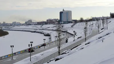 Главную елку на площади 400-летия Тюмени откроют 26 декабря | Вслух.ru