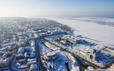 Медведь в центре Томска, новый норматив по парковкам и обмеление озер:  новости недели - vtomske.ru