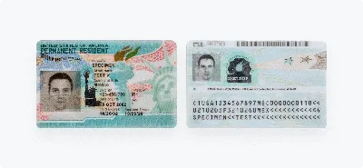 Green Card Photo: Requirements, Examples, and More [2023]