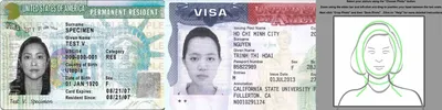 Green card photo (fastly approved in 2023)- Smartphone ID