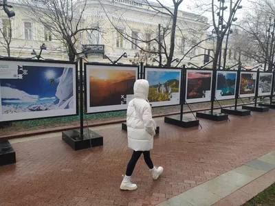 🚫 Завтра в центре Москвы часть улиц будет закрыта: это улицы Ильинка,  Варварка и проезд между ними.