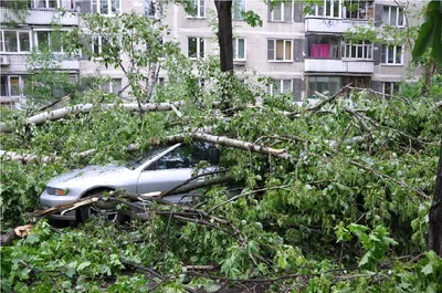 Последствия урагана в Москве