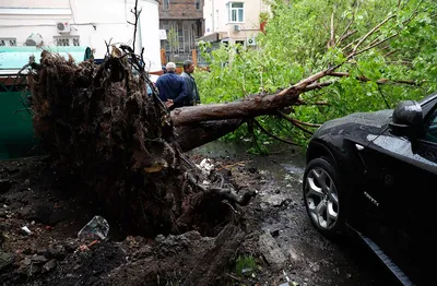 Число жертв майского урагана в Москве выросло до 17 | За рубежом | ERR