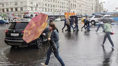 Первые последствия урагана в Москве попали на видео - Мослента