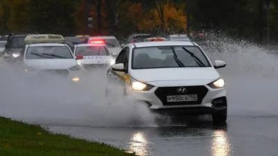 Число жертв от урагана в Москве стало самым большим за последние сто лет —  РБК