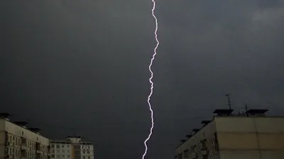 В интернет выложили фото и видео сильнейшего урагана в Москве - Российская  газета