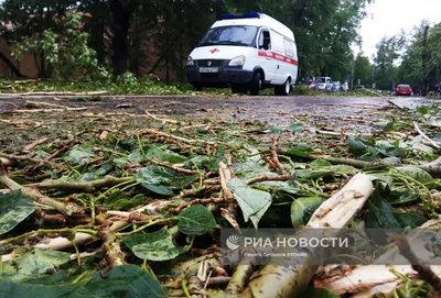 Наводнения и ураганы в старой Москве | moscowwalks.ru