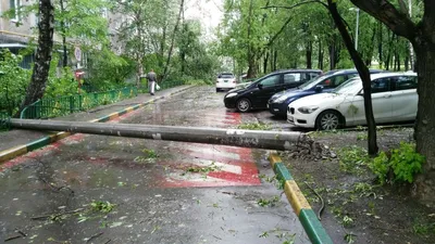 Мрачные тучи и дикий ветер: кадры разразившегося урагана в Москве