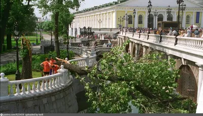 Последствия урагана в Москве | РИА Новости Медиабанк