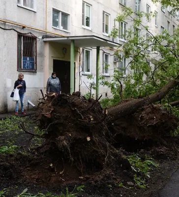 Ураган в Москве 21 апреля: фото страшной стихии, бушевавшей в субботу -  KP.RU