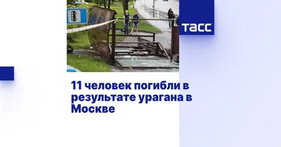 Жертвами урагана в Москве стали два человека — Секрет фирмы